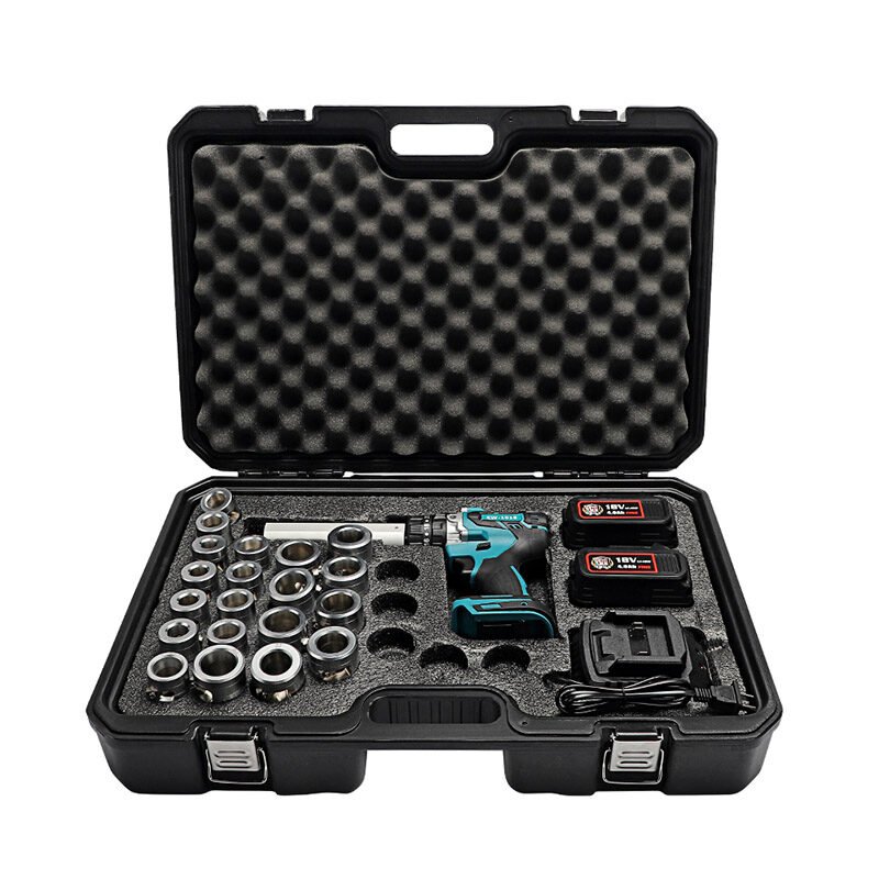 Automatic adjustable wire stripper with case