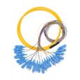 24 Cores SC Fan-out Pigtail