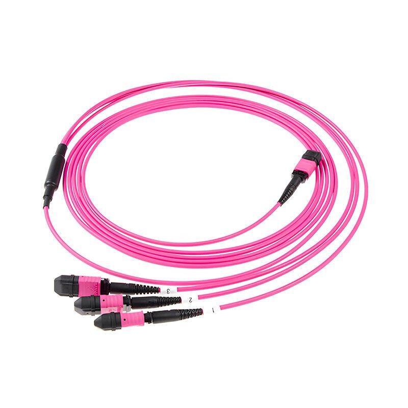 A bright pink MPO/MTP fanout cable