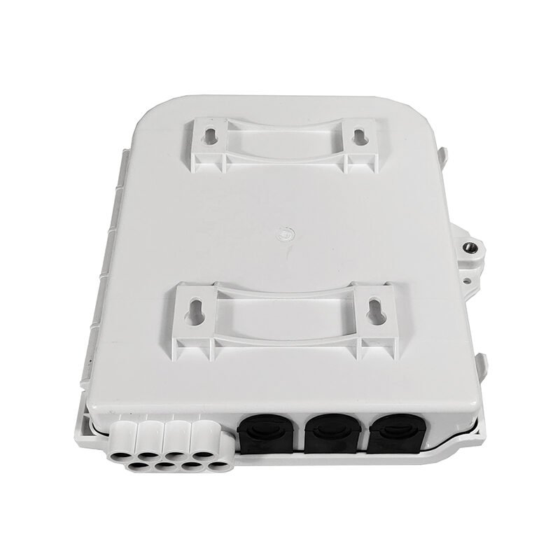 100000045243 100000045243