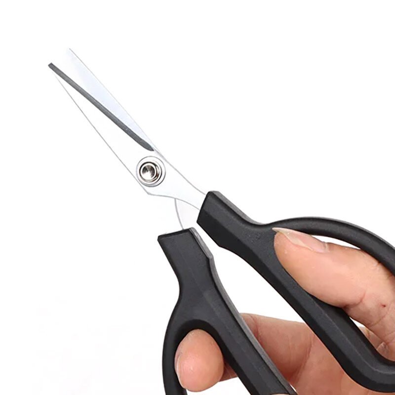 100000081507 100000081507