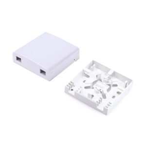 2 Cores Wall Mount Face Plate