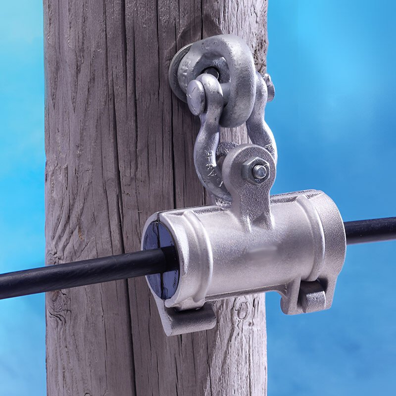 alpaca38698 alpaca38698